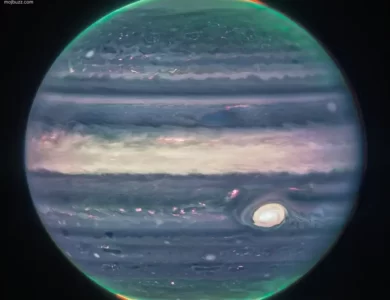 Jupiter dominates the black background of space. The image is a composite, and shows Jupiter in enhanced color. The planet’s Great Red Spot appears white here. The planet is striated with swirling horizontal stripes of neon turquoise, periwinkle, light pink, and cream. The stripes interact and mix at their edges like cream in coffee. Along both of the poles, the planet glows in turquoise. Bright orange auroras glow just above the planet’s surface at both poles.