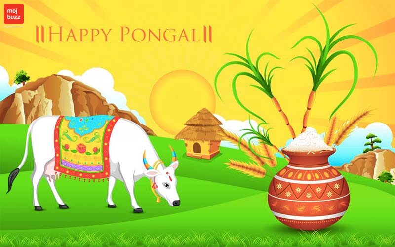 Happy Pongal Festival 2023 – Significance, Story behind Festival of Pongal, Quotes