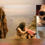 Human ancestor and their skull
