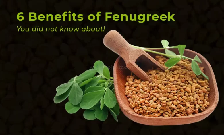 6 Benefits of Fenugreek You did not know about!