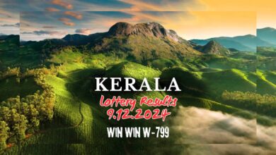 Kerala Lottery Results 9.12.2024: Win Win W-799