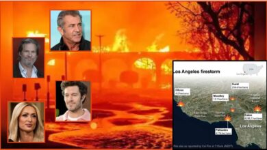 Los Angeles celebs lose homes and shares experiences