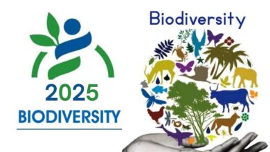 International Day for Biological Diversity 2025