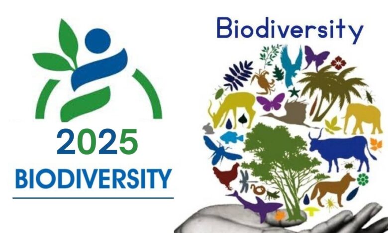 International Day for Biological Diversity 2025